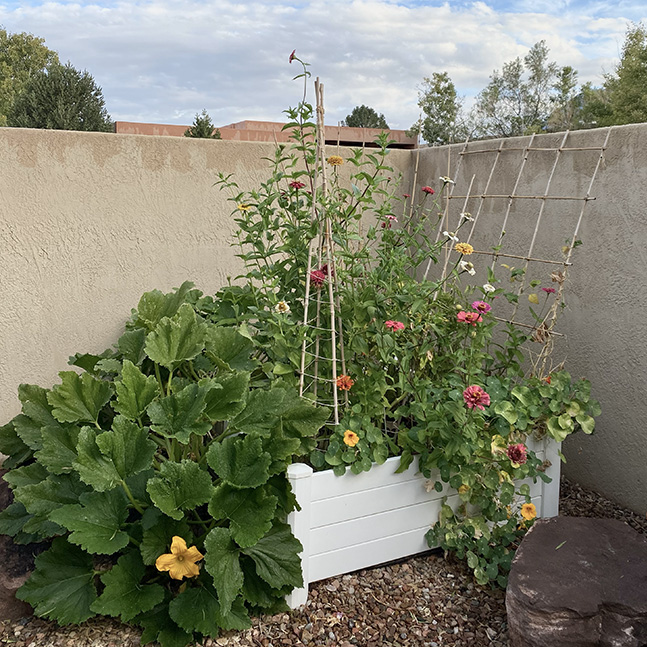 Small Garden Compost Bins