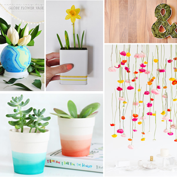 1-Creative Plant DIY Ideas
