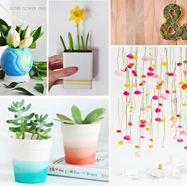 Plant DIYs you won’t want to miss!