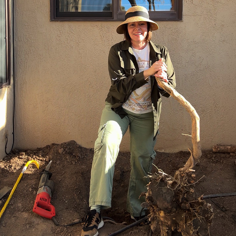 How to Remove a Multi-Trunk Tree Stump: A Step-by-Step DIY Guide