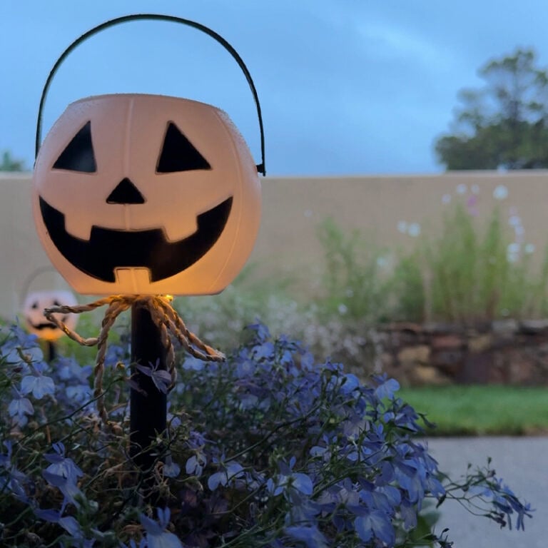 1 -DIY Solar Outdoor Pumpkin Lights - night in purple flowers