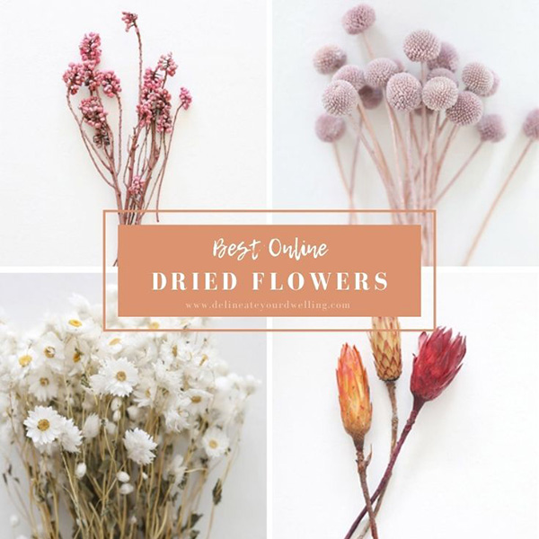 1-Dried Flowers