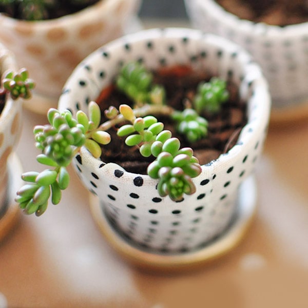 Fabric Covered Pots