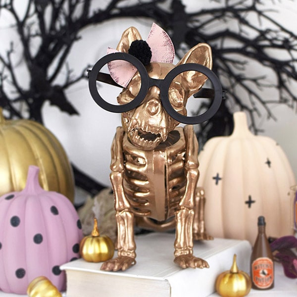 1-Gold French Bull Dog Skeleton