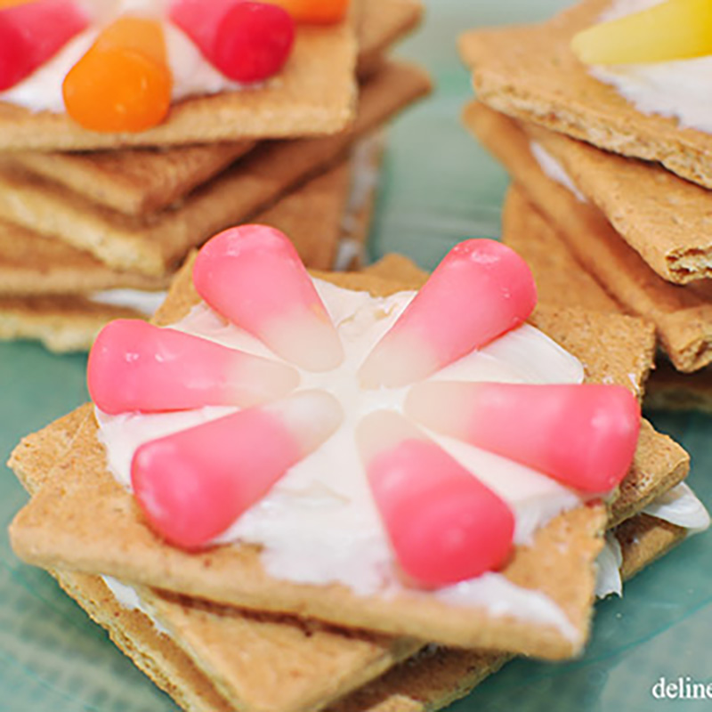 1- Graham Cracker cookie