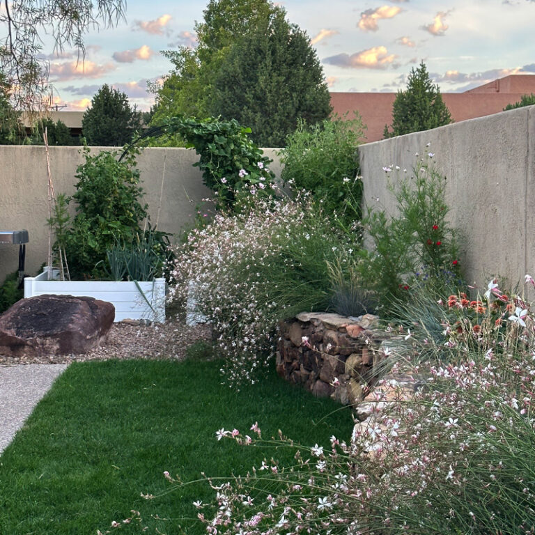 1- Install Sod Grass - Green sod