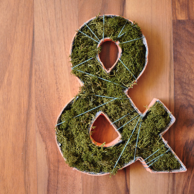 How to make a Planted Ampersand