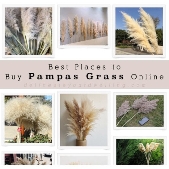 17 Creative ways to Decorate with Pampas Grass Delineate Your Dwelling