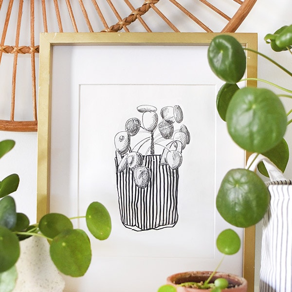 1-Pilea Digital Print