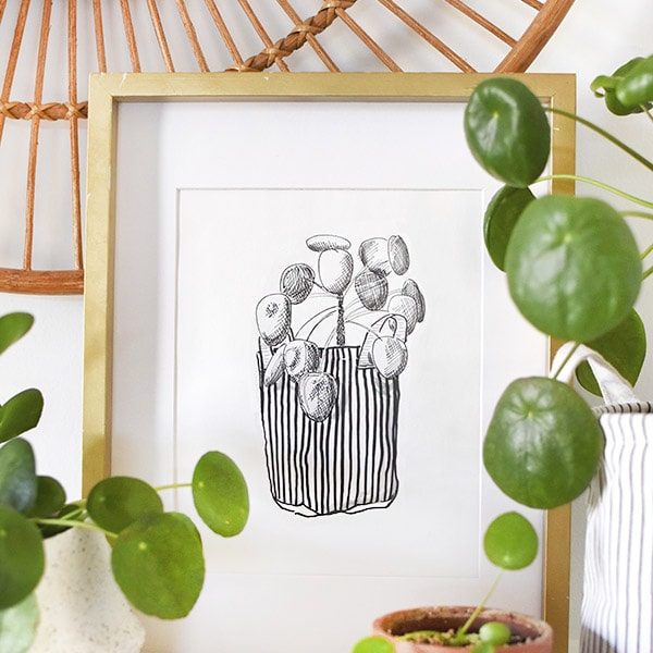 Hand Drawn Pilea Digital Print