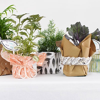 christmas plant gifts to make