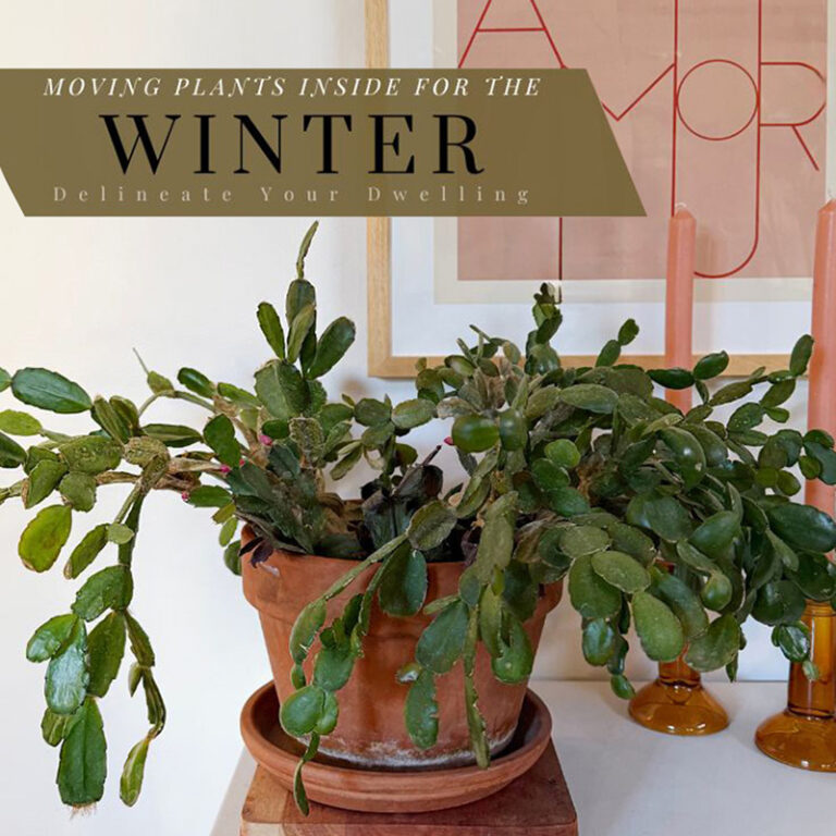 1- Winterizing Plants