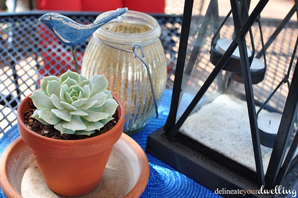 Easy Backyard Beauties (plants) for homes in the High Desert, Southwest. Check out these plants that grow with ease in New Mexico as well as a few Southwest backyard  plant tips. Delineateyourdwelling.com #desertplanttips #southwestplanttips