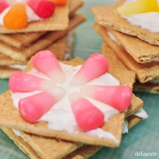 EASY Graham Cracker Cookies