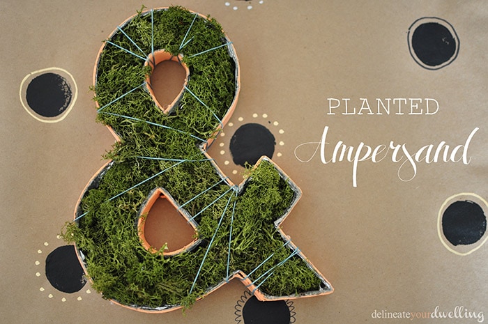 Planted Ampersand, Delineateyourdwelling.com