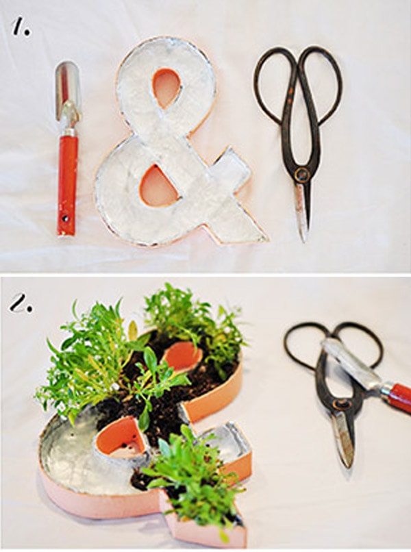 Planted Ampersand Step 4