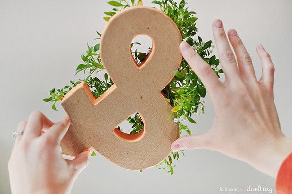 How to make a simple Planted Ampersand decor item! Delineate Your Dwelling