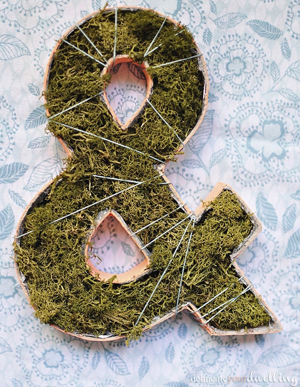 How to make a simple Planted Ampersand decor item! Delineate Your Dwelling