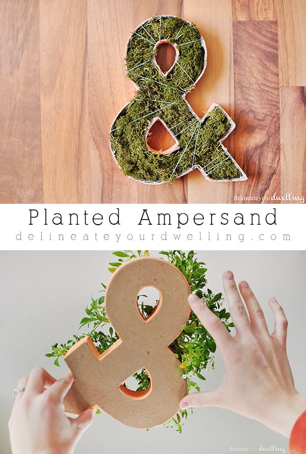How to make a simple Planted Ampersand decor item! Delineate Your Dwelling