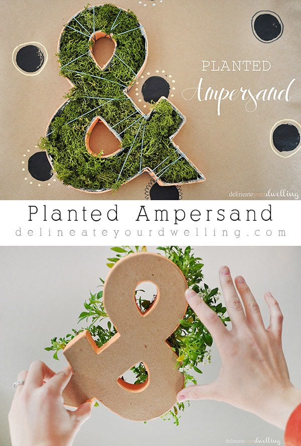 How to make a simple Planted Ampersand decor item! Delineate Your Dwelling