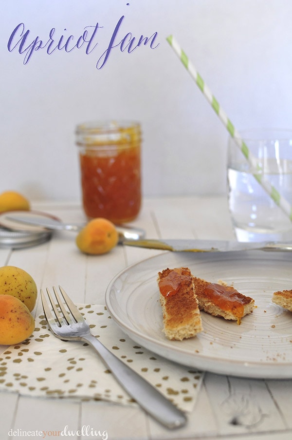 Apricot Jam Recipe