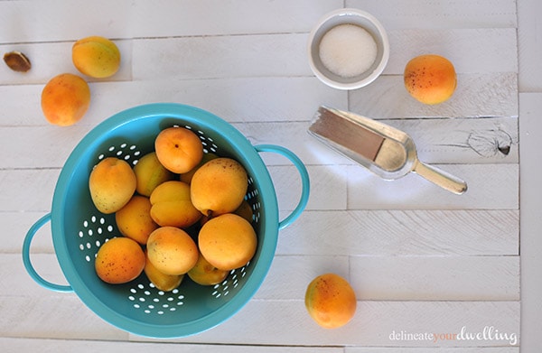Apricot Jam, Delineate Your Dwelling #jelly #fruit #farmtotable #gardentotable