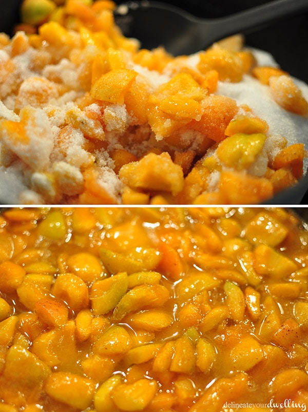 Apricots and sugar