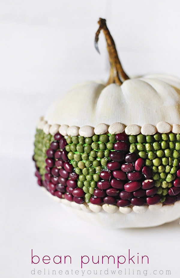 See how to create this easy and fun DIY Bean Pumpkin for the Fall Season! Delineate Your Dwelling