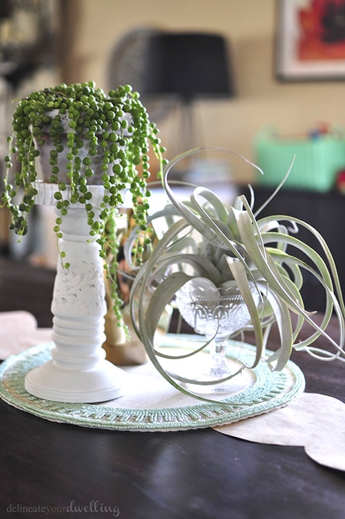 planters on table