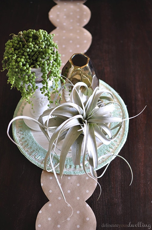 plants on table