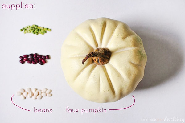 Bean pumpkin supplies