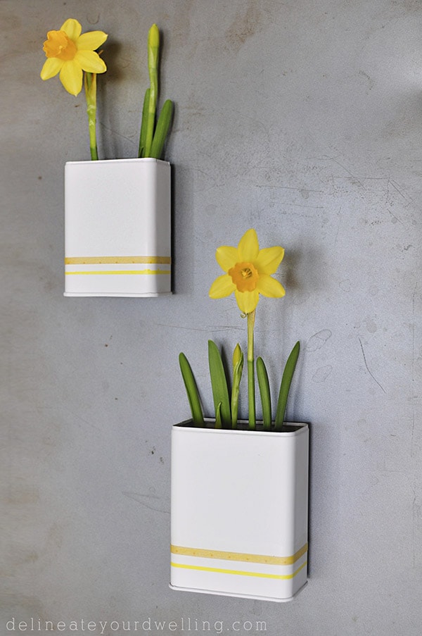 DIY Daffodil Planters