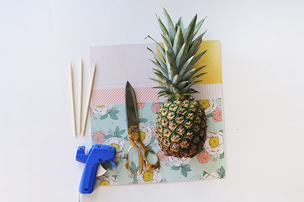 Pineapple Lady supplies