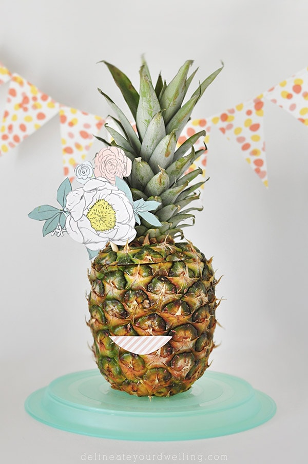 Pineapple Lady, Delineateyourdwelling.com