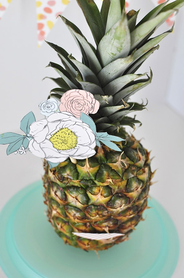 https://www.delineateyourdwelling.com/wp-content/uploads/2015/07/Pineapple-Lady3.jpg