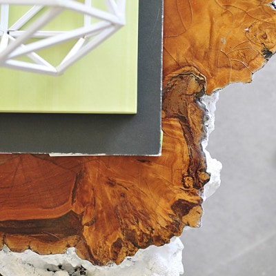 Tree Stump Table details