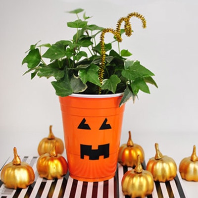 1 Plastic Cup Pumpkin Planter horiz