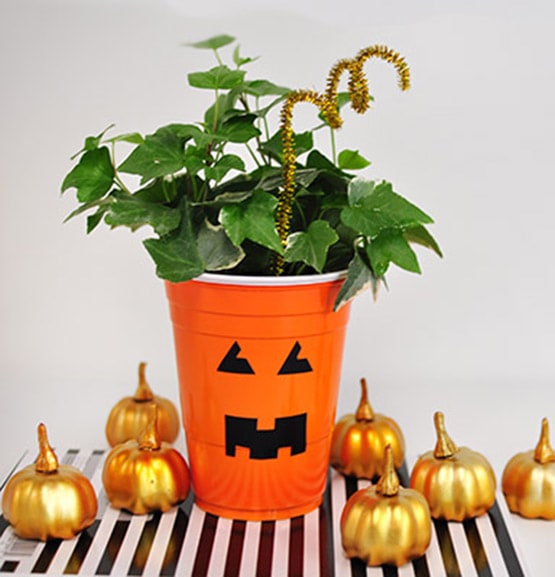 1 Plastic Cup Pumpkin Planter horiz