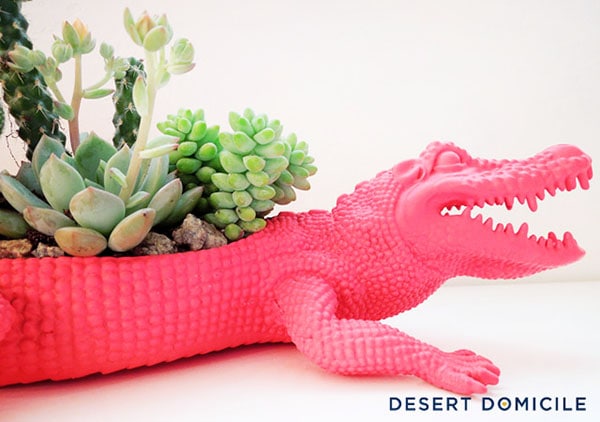 DIYCrocodileSucculentPlanter, Best of Cacti and Succulent