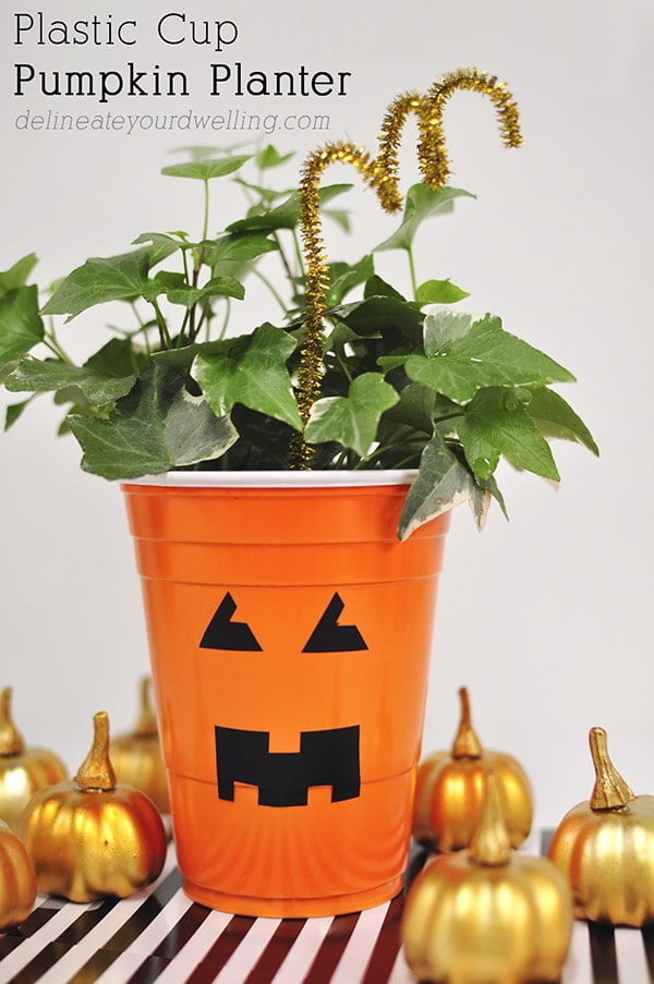 Plastic Cup Pumpkin Planter, Delineateyourdwelling.com