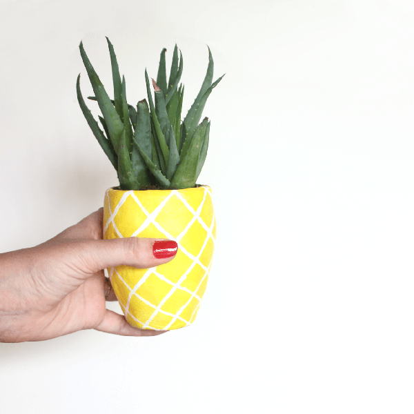 pineapple-painted-pot, Best of Cacti and Succulent