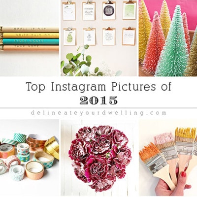 1 Top Instagram Pictures of 2015