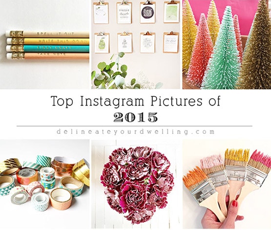 Top Instagram Pictures of 2015