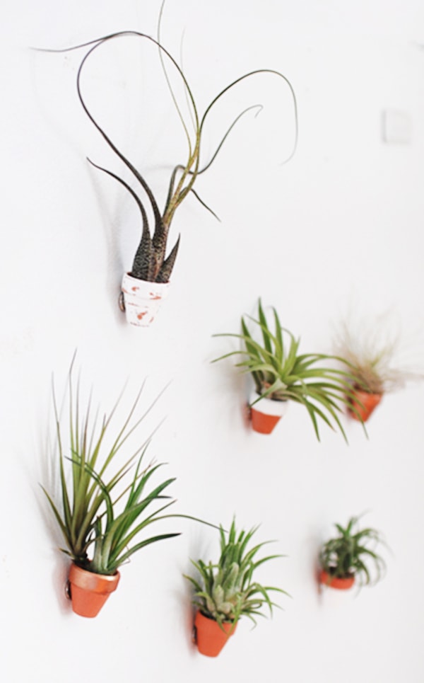 Mini-Clay-Pot-Magnets