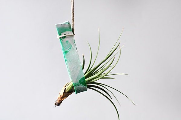 Hanging Plant Holder