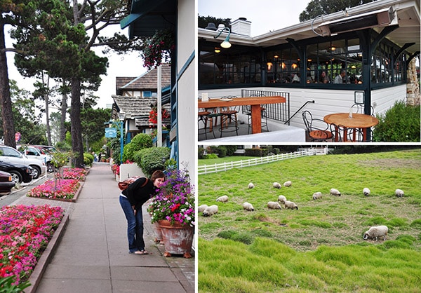 Pacific Coast Highway Carmel by the Sea