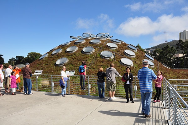 San Francisco Academy of Science