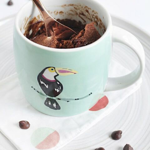 Food - Chocolate Cake Mug