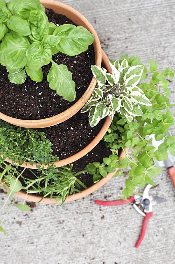 DIY Stacked Herb Garden - Growing Herbs at Home