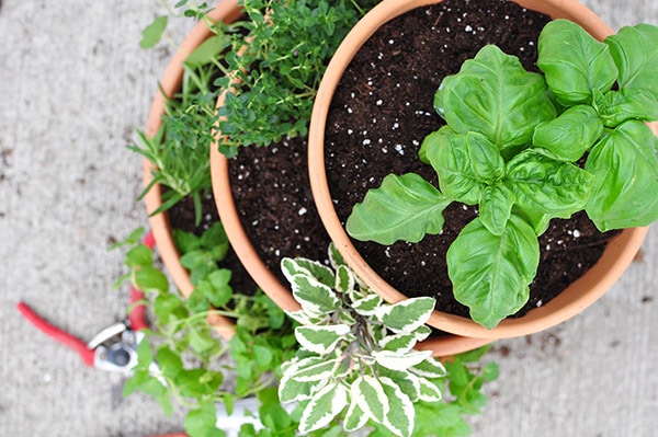 Stacked Herb Garden2